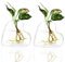 Kingbuy Confezione da 2 terrari da parete in vetro da appendere a forma di cuore, per interni, casa, ufficio, soggiorno, vaso decorativo per piante grasse
