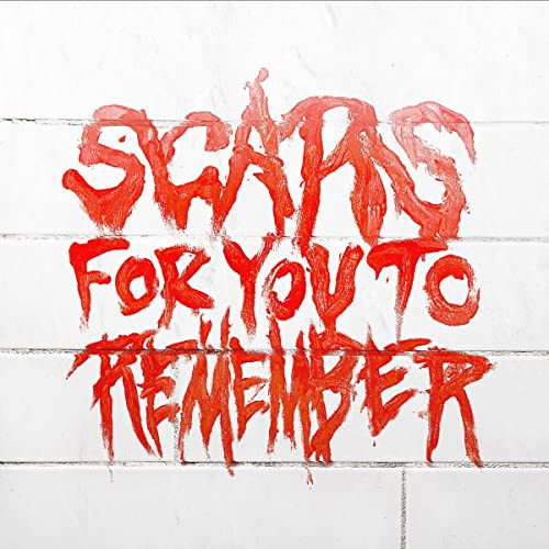 Scars for You to Remember