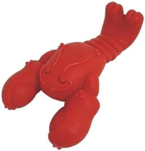Nylabone Extreme Chewers Tough Nylon Dog Novelty Lobster Chew Toy, Durable, Boredom Breaker, Cleans Teeth, Filet Mignon Flavour, Small, For Dogs 0-11kg
