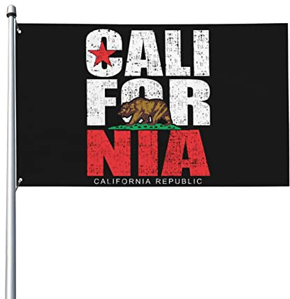 3x5 Fuß California Republic Bear gepunktete Flagge Hausflagge Gartenflagge Außenbanner Hofflagge Bootsflagge Kein Flaggenmast