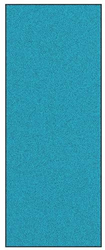 vidaXL Cyan Rechteckige rutschfeste Fußmatte | Maschinenwaschbar 300 X 120 0.9 cm Weiche Berührung Polyamid Teppich für Innen Außen Ideal für Schlafzimmer Wohnzimmer & Balkone Eingang Fußmatte