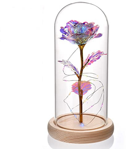 Morwealth Geschenke für Frauen Rose im Glas,Die Schöne und das Biest Rose in Glaskuppel mit LED-Lichter,Forever Rose Blumen Geschenk für Mama Frauen