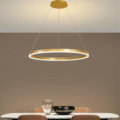 PANNN LED Pendelleuchte Modern Runde Dimmbar Hängeleuchte Ring Kreis Hängelampe Moderne Wohnzimmerleuchten Esstisch Pendellampe Pendelleuchte Für Kücheninsel Wohnzimmer Büro Halle(Gold,1-Ring-60cm)