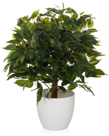hjh OFFICE Kunstpflanze 65 cm FICUS II Deko Pflanze künstlich, Birkenfeige, pflegeleichter Kunstbaum