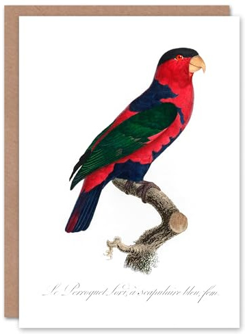 Artery8 Francois Levaillant Art Card The Black Capped Lory Parrot