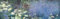 1art1 Claude Monet Seerosen, Morgen, 1-Teilig Fototapete Poster-Tapete 250x79 cm