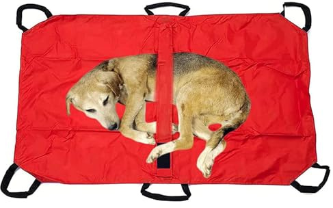 Barella Per Il Trasporto Di Cani, Trasportino Di Emergenza Per Animali Con Cinghia Di Sicurezza, Telo Scorrevole Per Aiuti, Con Cinghia Di Sicurezza Per Tenere Al Sicuro Il Tuo Animale Domestico