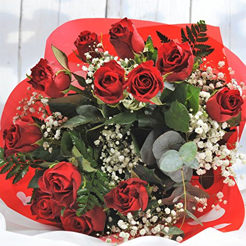 Homeland Florists 12 Long Stemmed Red Roses Gift Wrapped, Fresh Flower Bouquet, Next Day Tracked UK Delivery, Perfect Romantic Gift for the one you love