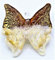 Farfalla In Vetro di Murano Made in Italy (COLORE 8)
