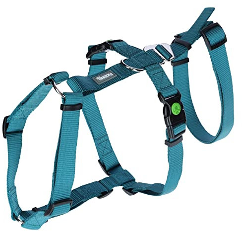 Kerbl Panikgeschirr Miami (Farbe Petrol, Halsumfang 38 - 52 cm, Brustumfang 55 – 74 cm, Bauchumfang 40 – 64 cm, Geschirr) 80043