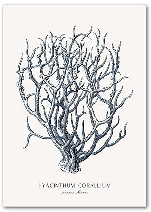 HLSHOE Beach Hut Bridge Reed Starfish Conch Coral Ocean Wall Art Leinwand Gemälde Poster und Drucke Wandbilder for Wohnzimmerdekoration (Color : 11, Size : 50X70 cm No Framed)