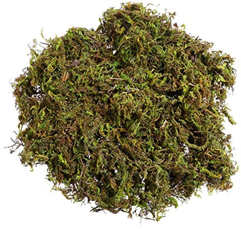Sewroro Forest Moss Preserved Artificial Lichen Decorative Moss for Potted Plants Indoor Planters Crafts (About 60g)