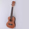 Creeley Profi-Gitarre, für Anfänger, 58,4 cm, hawaiianisches Viersaiten-Instrument (Braun B)