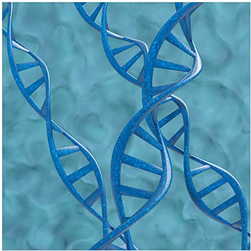 Wallario Glasbild DNA-Strang in blau auf türkisem Hintergrund - 55 x 55 cm Wandbilder Glas in Premium-Qualität: Brillante Farben, freischwebende Optik