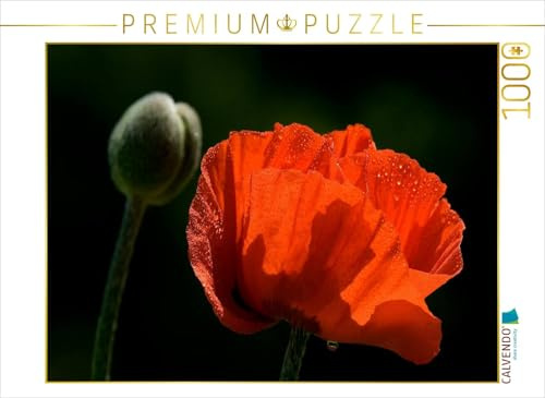 CALVENDO Puzzle Papaver | 1000 Teile Lege-Größe 64 x 48 cm Foto-Puzzle für glückliche Stunden