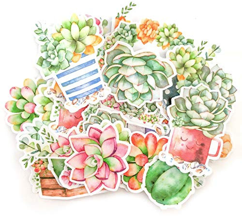 Navy Peony Aquarell Kaktus und Sekkulente Sticker Set | kleine wasserdichte Sticker für Laptop, Skateboards und Handyhüllen | süße Sticker für Scrapbooking, Tagebuch, Planer und Zeitung (21 Stück)