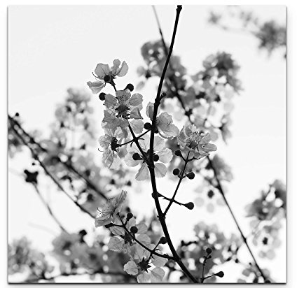 Leinwandbilder | Bilder Leinwand 60x60cm Ast mit Blumen schwarz/weiß