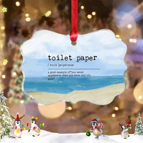 Guangpat Toilettenpapier Definition Acryl Weihnachtsschmuck Toilettenpapier Wort Ornament für Weihnachtsbaum Dekor Personalisierte Weihnachtsschmuck 2023 Andenken Weihnachtsstrumpf Füllung Geschenk