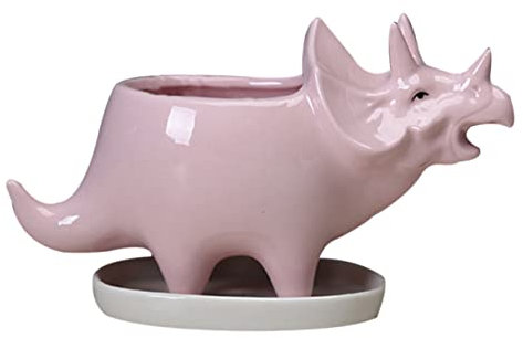 INOOMP Pot De Fleurs Forme De Tricératops pour Plantes Succulentes Bassin De Pépinière avec Plateau pour Maison Bureau
