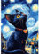 DAERLE DIY Diamond Painting Schwarze Katze, Diamond Painting Erwachsene Sternennacht, 5D Diamant Painting Bilder, Mosaikherstellung Bastelset für Haus Wanddeko 30x40cm