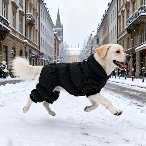 Kukaster Pet Hundejacke Wasserdicht Hunde Winterjacke Winddicht Winterweste Jacke Hundeweste für Kleiner, mittlerer Hund, D-Ring Schwarz 2XL