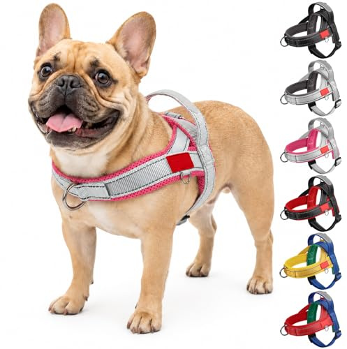 Olcyren Hundegeschirr für Welpen Kleine und Mittelgroße Hunde, Anti Zieh Geschirr Hund mit Griff, Verstellbares Reflektierend Gepolstert Brustgeschirr Anti Zug, Welpengeschirr (Grau Rosenrot, S)