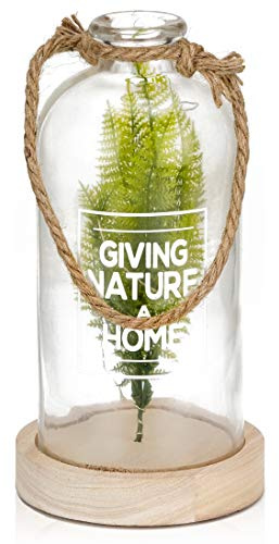 BRUBAKER Bottle Light 9 Inches High with Fern and 10 LED Lights - Pendant Lamp Hanging