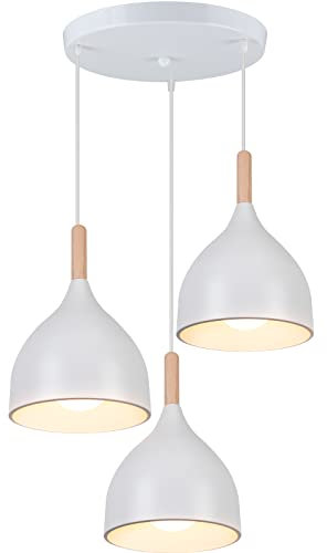 WOTTES Kronleuchter, E27häNgeleuchte, Moderner Stil Pendelleuchte, Verstellbare LäNge, Einfache Installation,Geeignet FüR Viele Dekorationsstile.