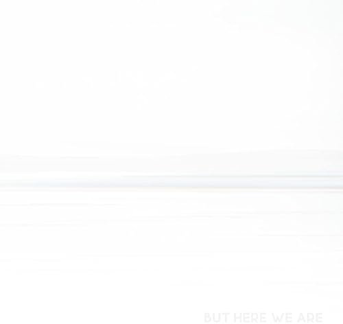 Foo Fighters, Neues Album 2023, But Here We Are, CD digi sleeve Pac mit gefaltetem Postereinleger