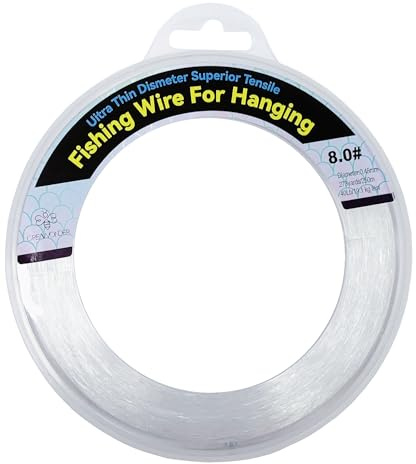 Filo da pesca trasparente, filo da pesca monofilamento da 250 m, corda trasparente per appendere, filo di nylon resistente invisibile per appendere palloncini ghirlanda decorazioni per immagini