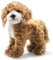 Steiff 31557 Ricky Cockapoo, rotbraun, 27 cm