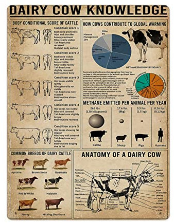 Cartel de hojalata de Metal Vintage con conocimiento de vaca lechera, cartel de decoración de pared de animales, hogar, cocina, restaurante, cafetería, cartel de Metal artístico de 8x12 pulgadas
