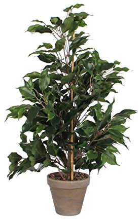 Mica Künstliche Ficus 'Exotica'