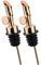 Pafusen 2 Olivenöl Ausgießer, Klappe Ausgießer und Hält Ihr Olivenöl Frisch, Ausgießer - Verhindert Auslaufen und Verschwendung (Edelstahl, Rose Gold)