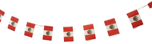 Bandera de Perú 40 unidades bandera de Perú, guirnalda Perú 11.4M, banderines Perú, bandera Nacional Perú 14 x 21 cm para Decoraciones de Bares de Jardín (Perú)