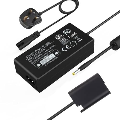 F1TP DMW-BLK22 Battery Compatible with Panasonic Lumix DC-S5,S5 II, S5 IIX,S5K S5GK DC-GH6, S5M2, S5M2X, GH5M2 (DMW-dcc17 Battery Replacement for blk22)