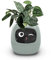 Intelligenter Blumentopf, intelligente Blumentöpfe, intelligenter Pflanzer, mit 49 reichhaltigen Ausdrücken, 7 intelligenten Sensoren, AI-Chips, LCD-Bildschirmanzeige, APP-Steuerung(Color:Green)