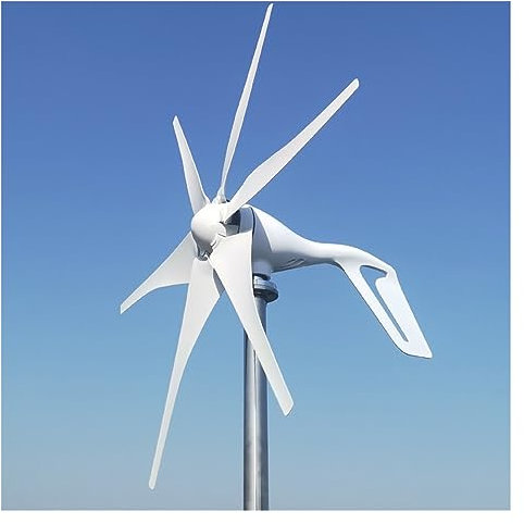 Horizontaler Windturbinengenerator 1000 W 1 KW 48 V 24 V 12 V Energie Magnetischer Dynamo Power Windmühle Haushaltsgerät Camping Solar(with Mppt Controller,12V)