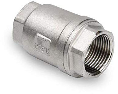 DINGGUANGHE 1 Zoll BSP Innengewinde 304 Edelstahl Vertikal federbelastet Rückschlagventil DN25 Rückschlagwassergasöl Ventil (Specification : 1)