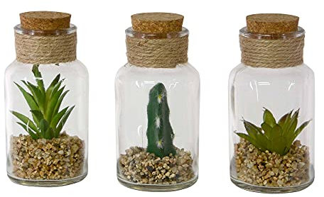 UNUS Home Kunstpflanze klein in 3er Set, Kaktus Deko im Glas mit Korkdeckel und Seilband, Kaktus künstlich, Mini Deko Sukkulente für Wohnzimmer, Küche, Bad, Büro