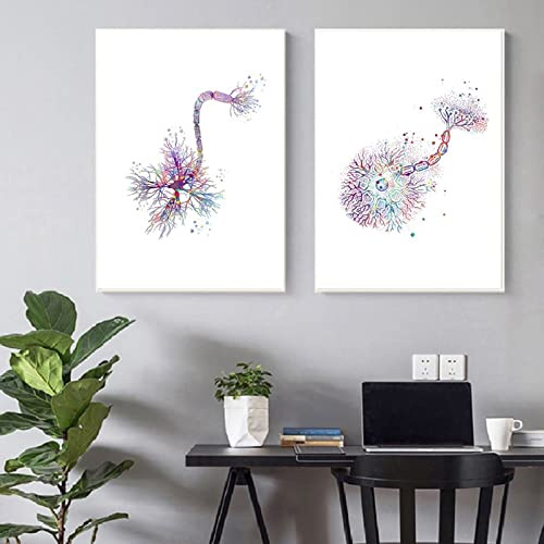 Neuron Aquarell Neurologie Kunst Poster Gehirn Anatomie Medizin 2 Stück Leinwand Malerei Neuron Synapse Klinik Wandkunst Dekor 30Cmx40Cmx2Pcs Kein Rahmen
