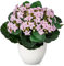 Arborus Kunstblumen im Topf Klein Künstliche Blumen wie echt 21cm Künstliche Kalanchoe Blumen Rosa Blumen Künstliche Pflanzen für Innen Dekoration Büro Küche Haus Zimmer Tisch Deko