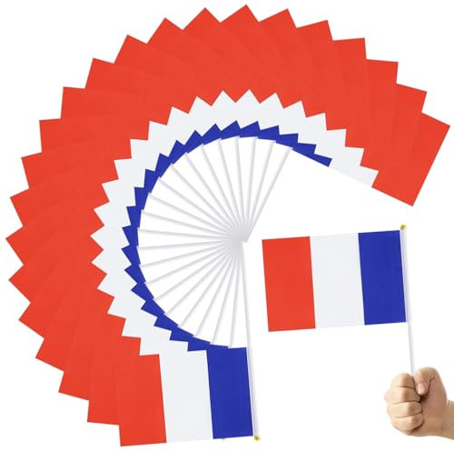 Bandera francesa, bandera de 100 piezas de Francia, mini banderas de 6x8 en palos, banderas de campo de doble lado para bar, eventos deportivos escolares, celebraciones del festival