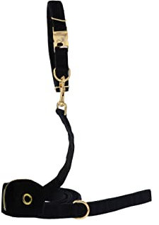 Hundeleine Set in schwarz-Gold - Leine, Kotbeutelspender und Hundehalsband, Samtstoff für liebevolle Hundeeltern in ✪ Größe M ✪ Halsband 2 cm Breite 35-50 cm Länge - Leine 2 cm Breite 1,5 m Länge
