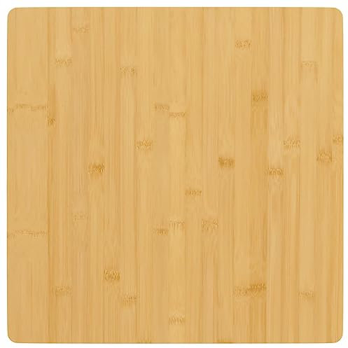 vidaXL Tischplatte, Ersatztischplatte für Couchtisch Beistelltisch Bartisch, Esstischplatte mit lackierter Oberfläche, Couchtischplatte Bambustischplatte, Bambus