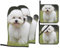 Bichon Frisé-Hunde-bedruckte Ofenhandschuhe und Topflappen, Set mit 4 Stück, hitzebeständige Küchenhandschuhe und heiße Pads zum Kochen, Backen, Grillen