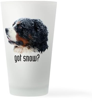 CafePress Got_Snow_Kindle Sleeve Pint Glass, 16 oz. Drinking Glass