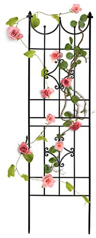 SCENDOR GARDEN Treillis Jardin Fer Set de 1 clôture Plante grimpante Grille Fleurs Arceau Rosier 180 x 50 cm, pour Roses et Plantes Grimpantes,Convient pour Le Jardin,Le Balcon