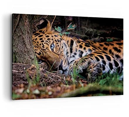 Wandbilder Dekoration Wohnzimmer Leopard Porträt Jaguar Bilder auf Leinwand 120x80cm Leinwandbild Schlafzimmer Küche Deko Wand Kunstdruck Art Groß XXL Wanddeko Bild Wall Decor Canvas AA120x80-4493