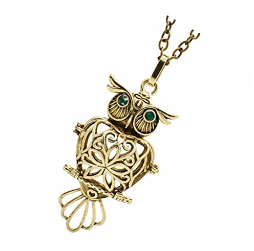 SOESFOUFU Aromatherapie Eule Halskette Damen Vintage Owl Anhänger Hohl Duftkugel Diffuser Schmuck Geschenk Für Frauen Modische Legierung Schlafzimmer Yoga Meditation
